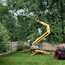 Lawn Pest Prevention in Boron, CA